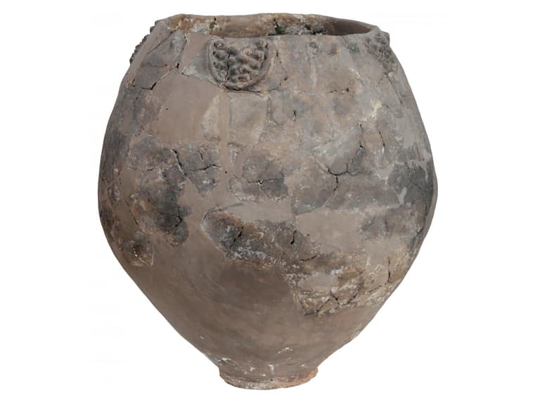 LE VIN EST APPARU IL Y A PLUS DE 8000 ANS DANS LE CAUCASE