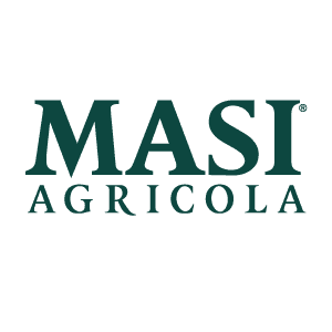 Masi