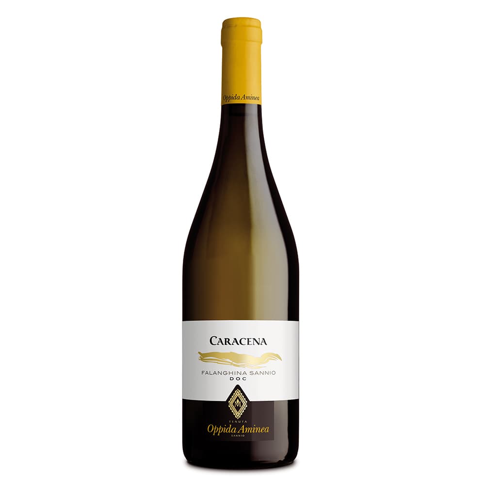 CARACENA - Oppida Aminea