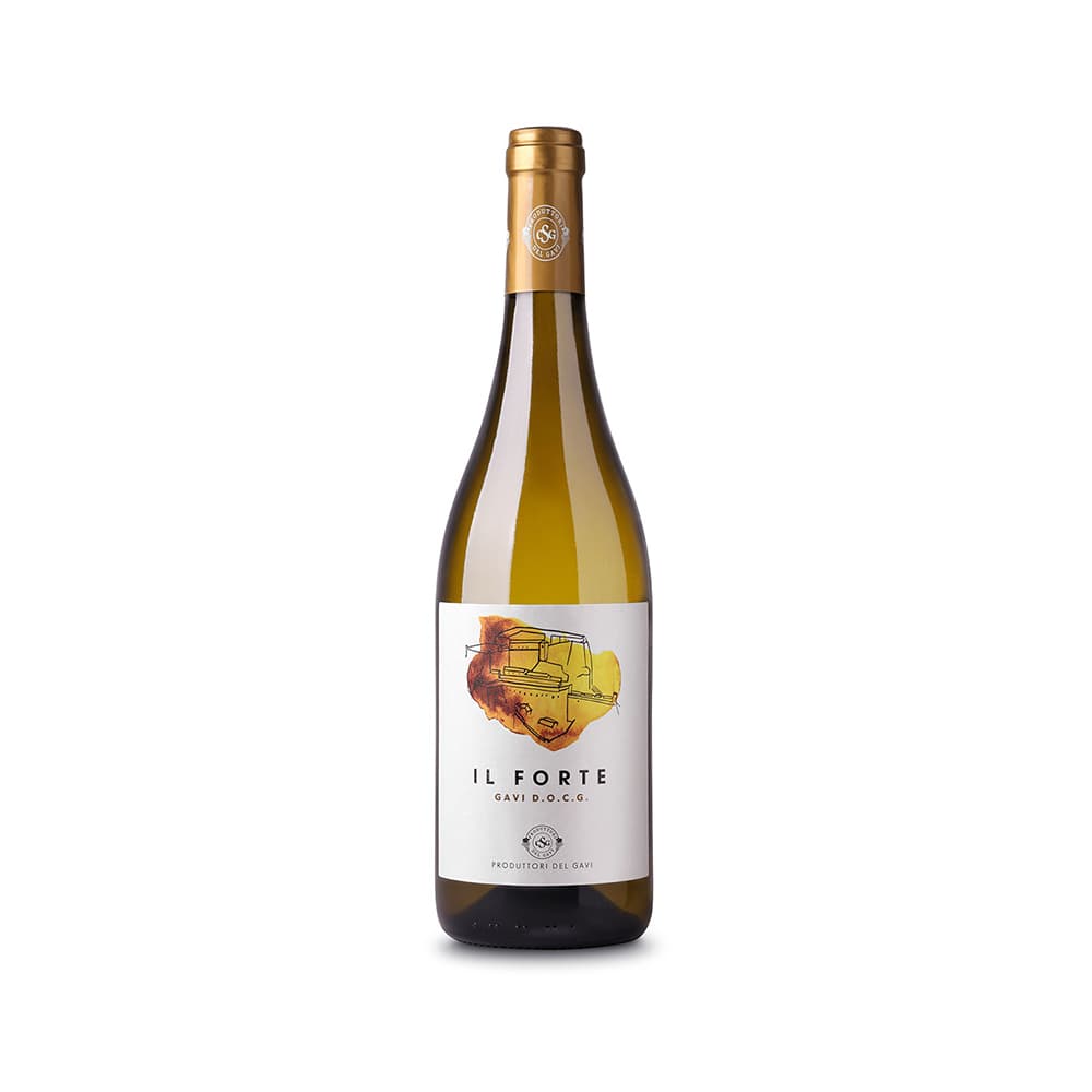 Gavi "IL FORTE"