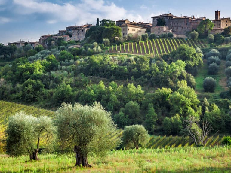 The 2012 Brunello Vintage is a Return to Finesse