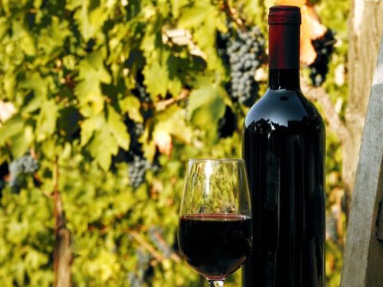 World wine production to hit 50-year low