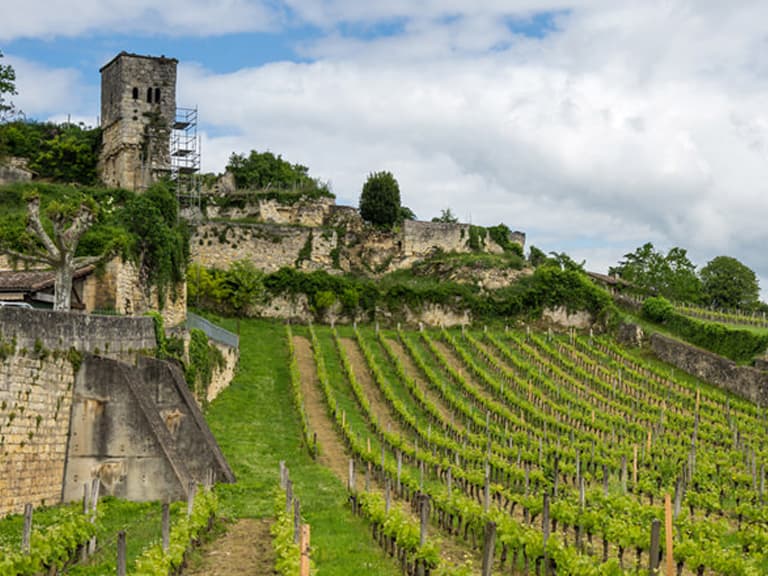 QUELLE HORREUR - CHINESE INVESTOR RENAMES HISTORIC BORDEAUX VINEYARDS